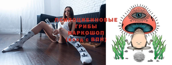 apvp Армянск
