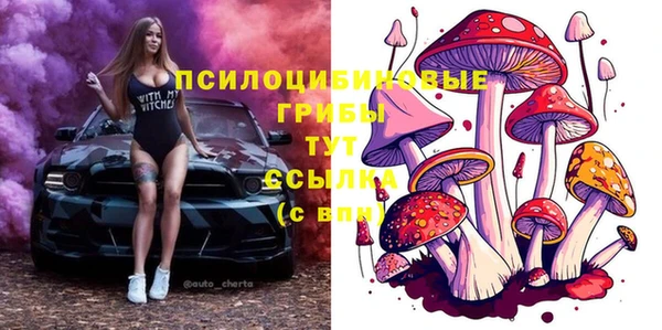 индика Пролетарск