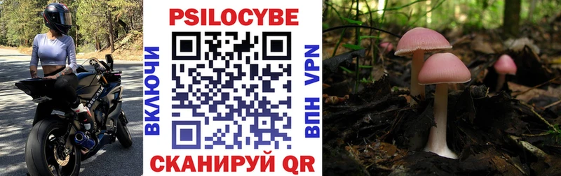 Псилоцибиновые грибы мухоморы  закладки  Покачи 